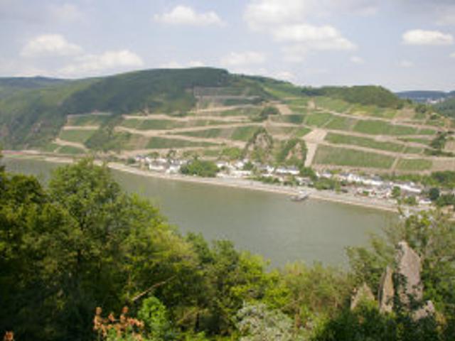 »View from the Schweizerhaus down to the rhine valley«