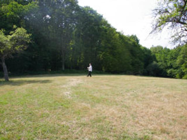 »Scamp marks the spot where the main party tent will be located«