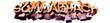 Logo for Sommarhack 2011