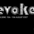 Logo for Evoke 10
