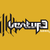 Logo for Silly Venture 2026 SE
