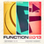 Logo for Function 2013