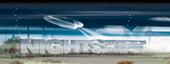 Logo for Nightshift 2006